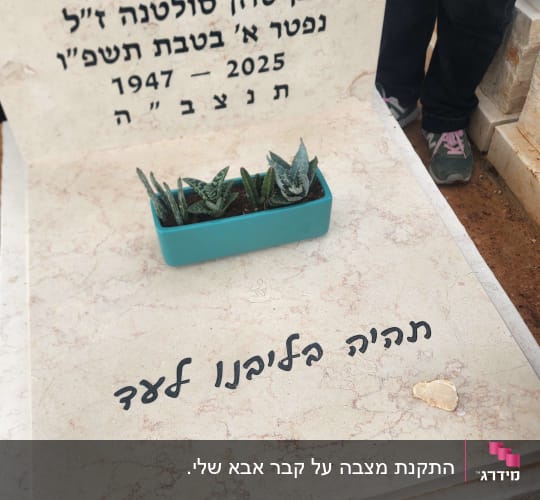 מצבה עם כיתוב בעברית וצמחים קטנים